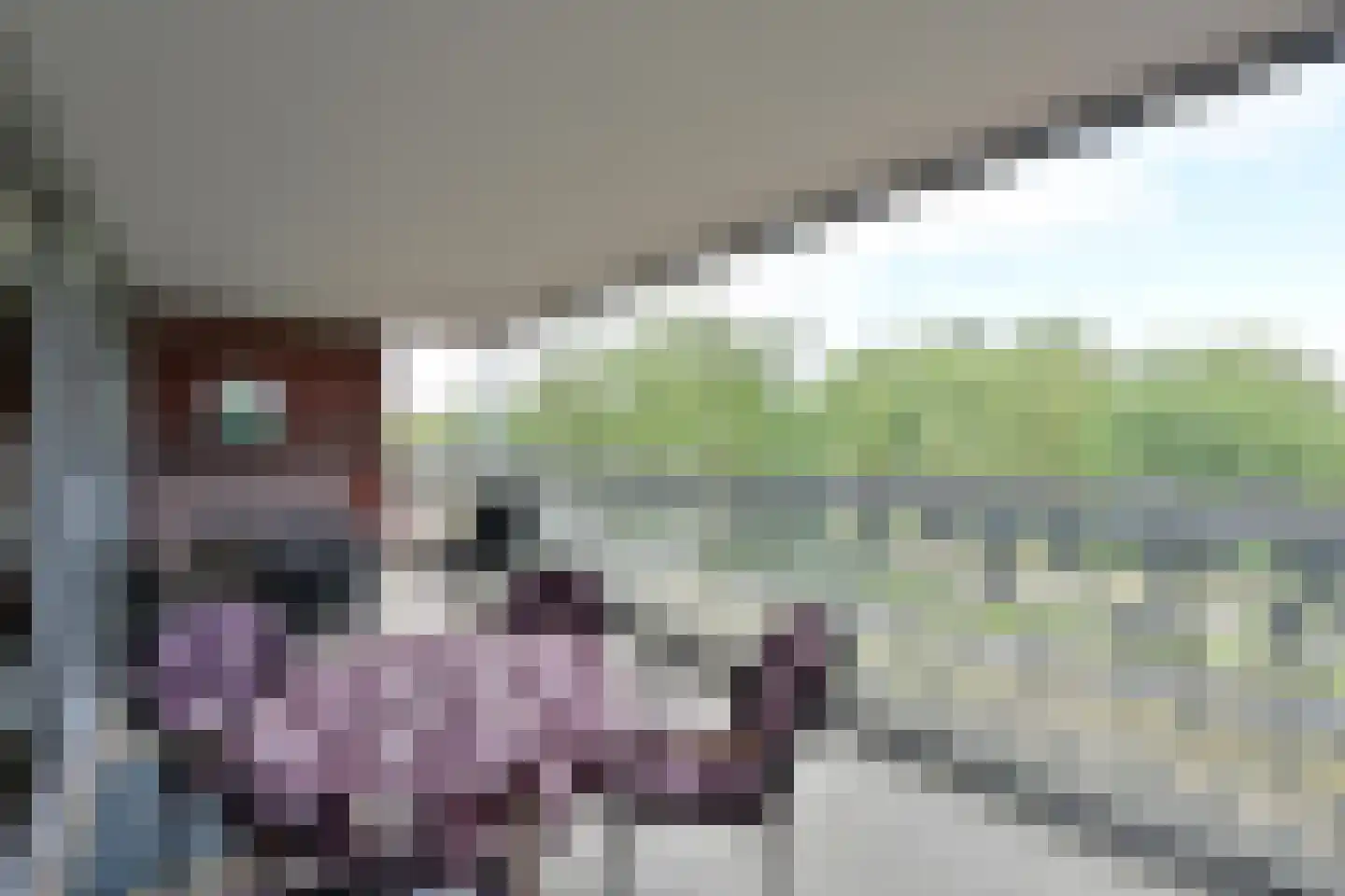De Regentesse 32 Huizen thumbnail 9
