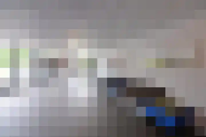 De Regentesse 4 Huizen thumbnail 11