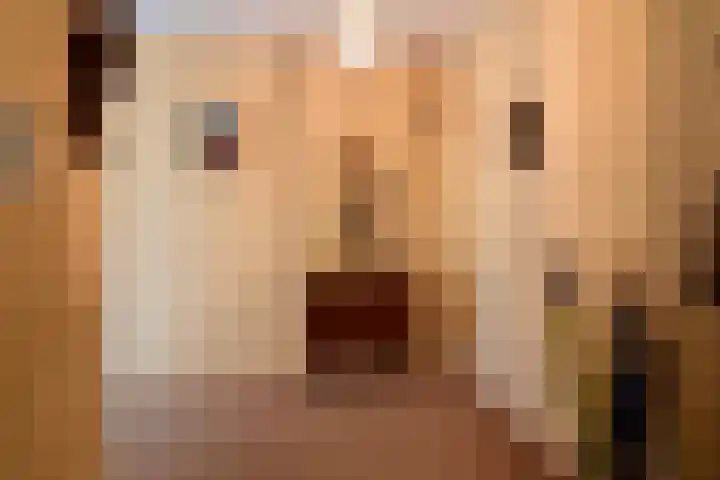 De Regentesse 4 Huizen thumbnail 12
