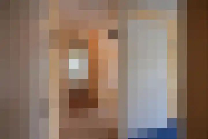 De Regentesse 4 Huizen thumbnail 13