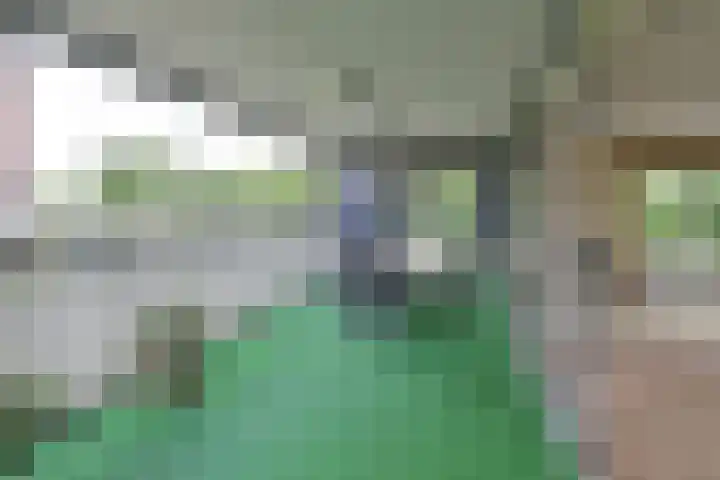 De Regentesse 4 Huizen thumbnail 18