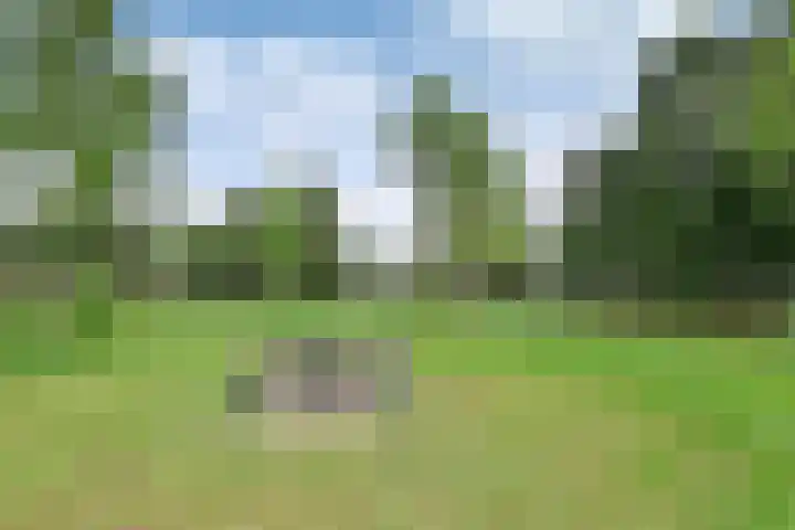 De Regentesse 4 Huizen thumbnail 28