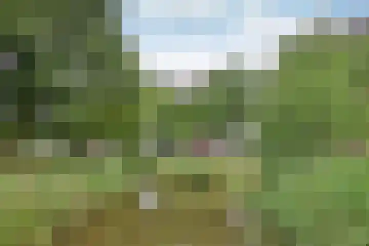 De Regentesse 4 Huizen thumbnail 8
