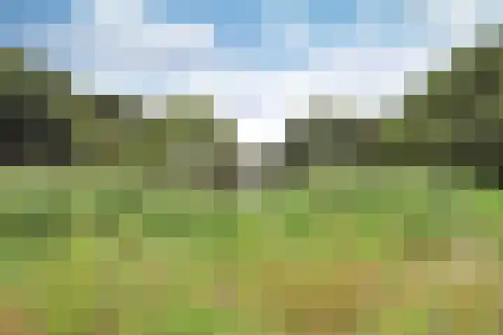 De Regentesse 4 Huizen thumbnail 9