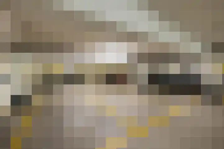 De Regentesse 45 Huizen thumbnail 27