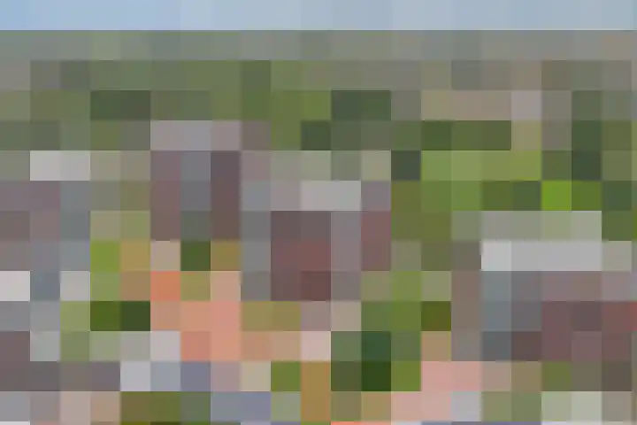 De Regentesse 45 Huizen thumbnail 4