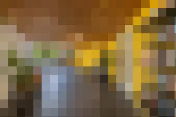 De Regentesse 45 Huizen thumbnail 8