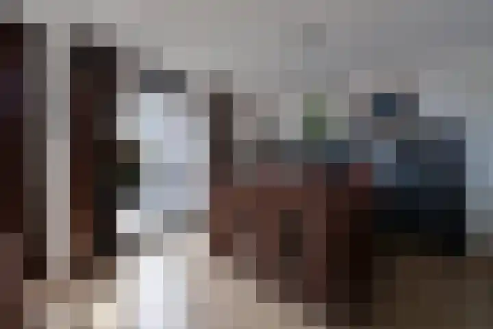De Regentesse 73 Huizen thumbnail 10