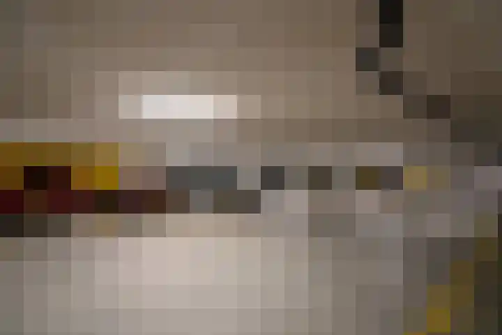 De Regentesse 73 Huizen thumbnail 16