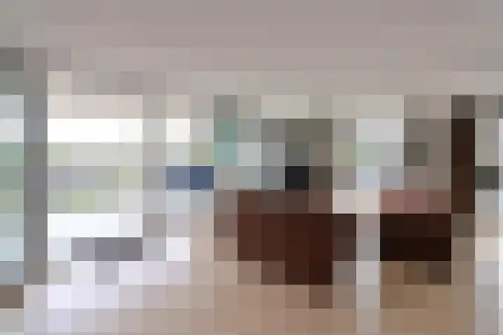 De Regentesse 73 Huizen thumbnail 4