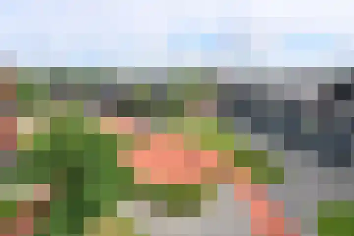 De Regentesse 73 Huizen thumbnail 6
