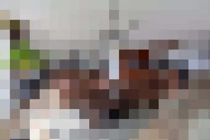De Regentesse 73 Huizen thumbnail 9