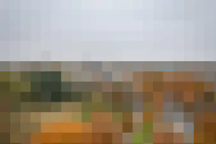 De Regentesse 88 Huizen thumbnail 10