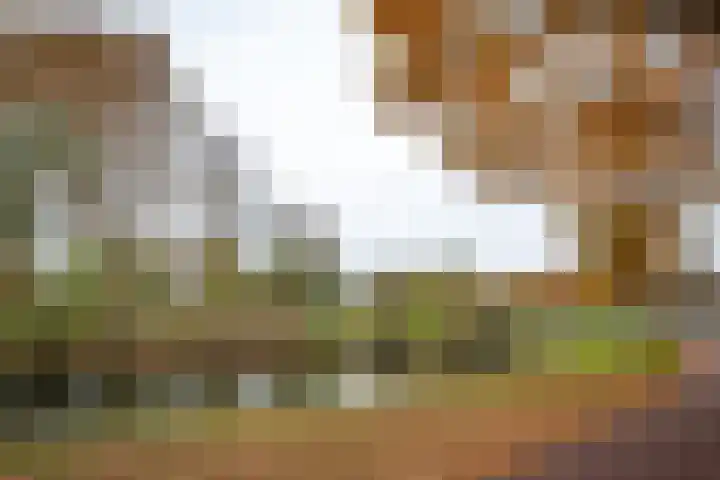 De Regentesse 88 Huizen thumbnail 13
