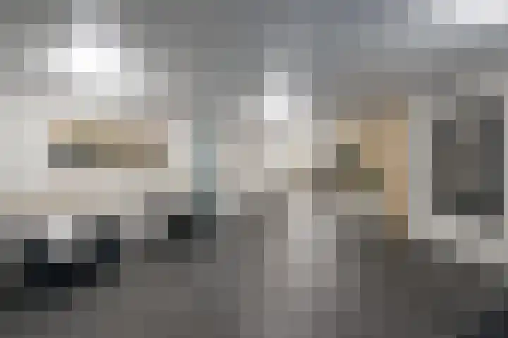 De Regentesse 88 Huizen thumbnail 4