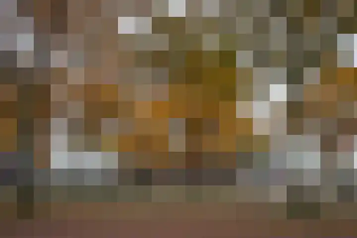 De Regentesse 88 Huizen thumbnail 8