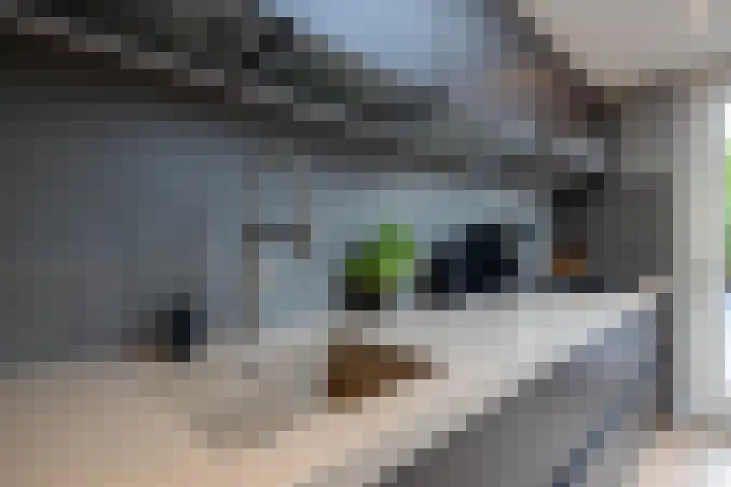 De Regenwulp 19 Almelo thumbnail 13