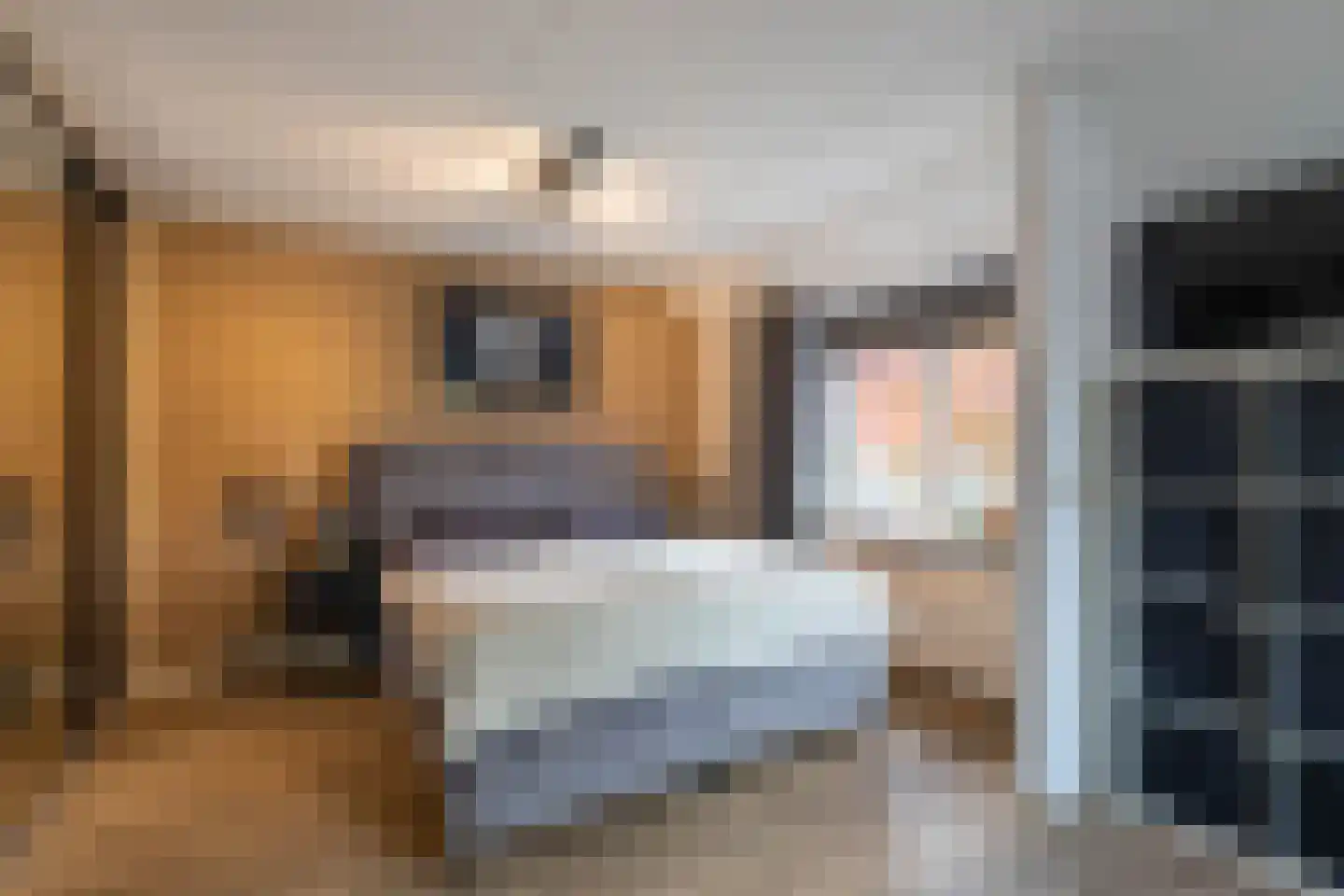De Regenwulp 19 Almelo thumbnail 16