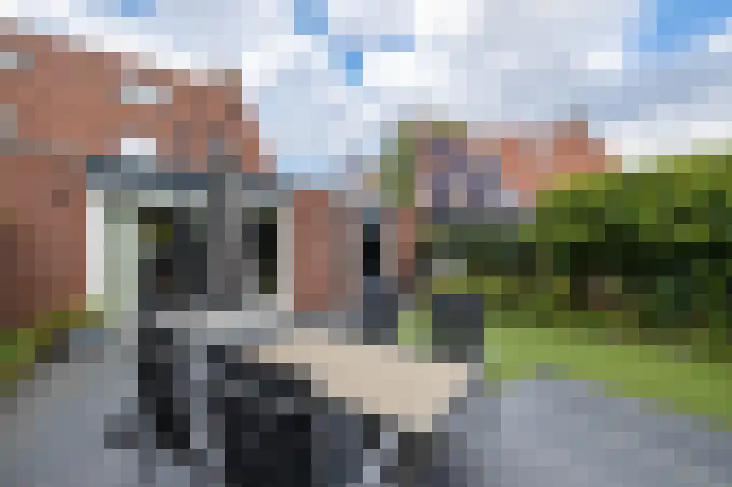 De Regenwulp 19 Almelo thumbnail 26