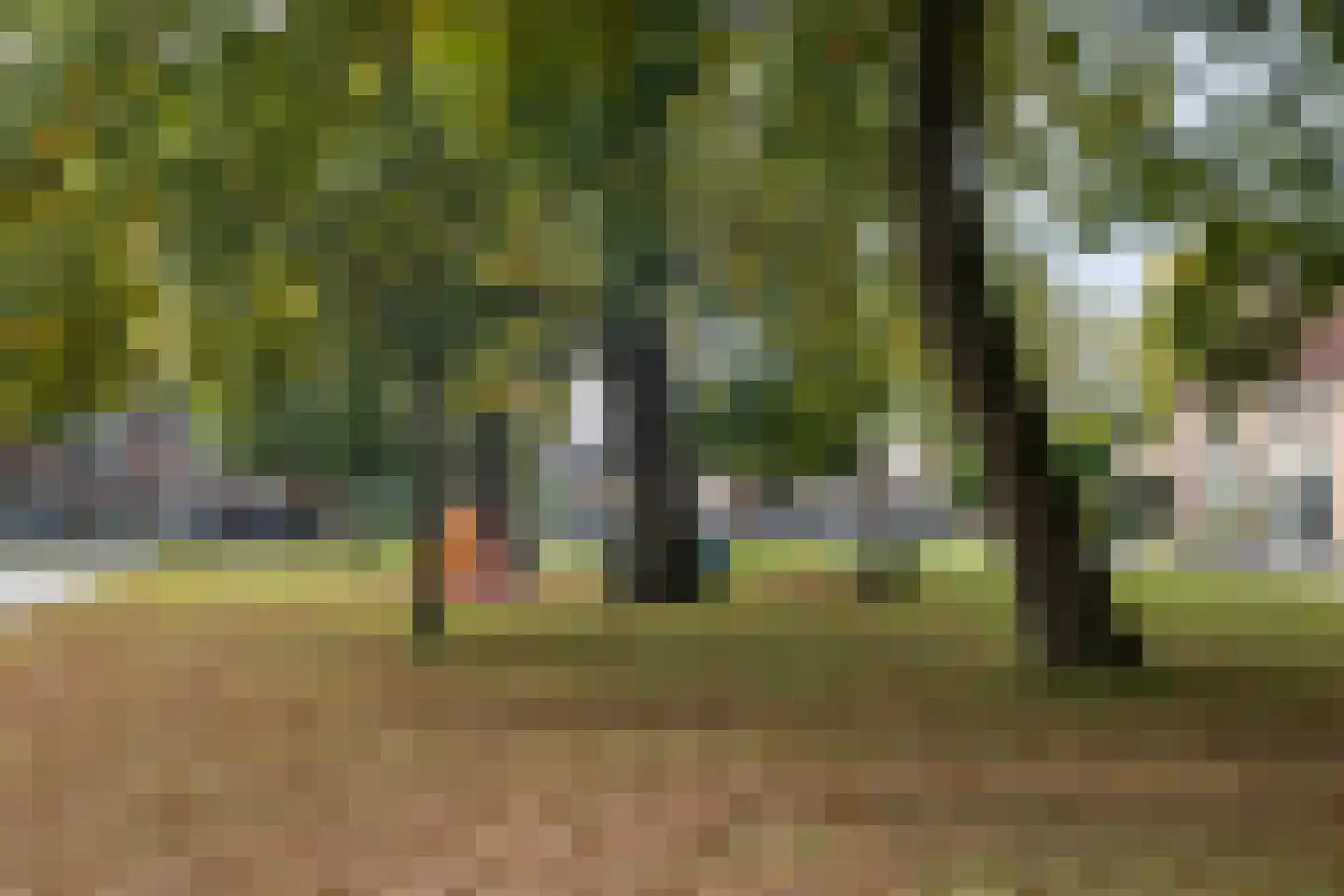 De Regenwulp 19 Almelo thumbnail 27