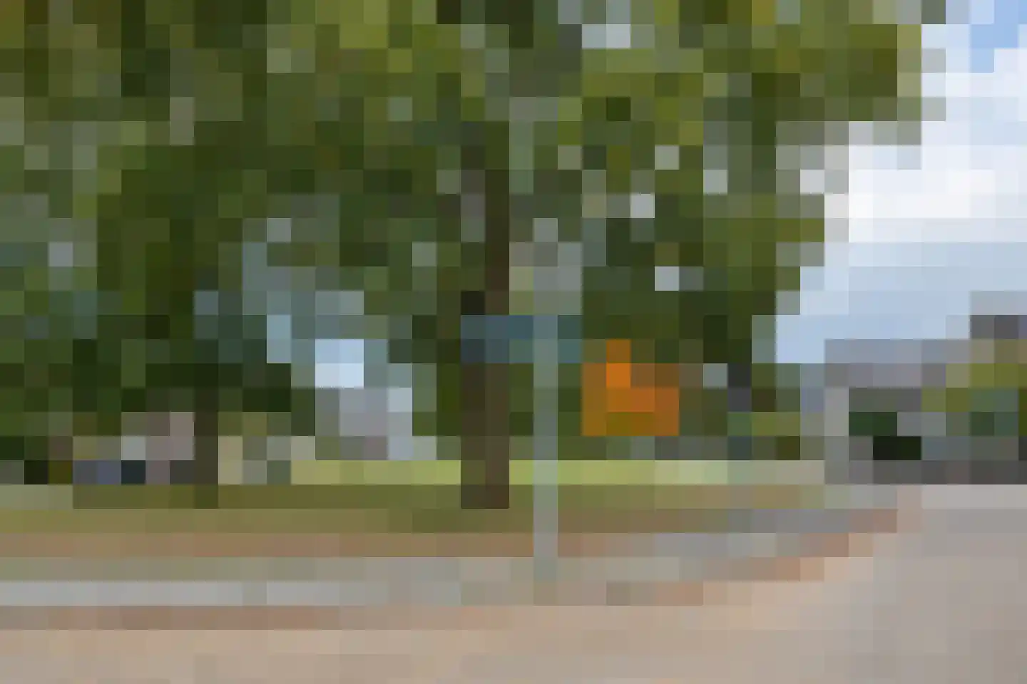 De Regenwulp 19 Almelo thumbnail 28