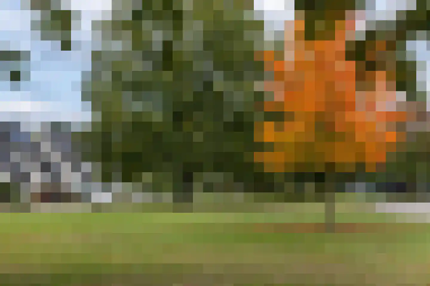 De Regenwulp 19 Almelo thumbnail 29