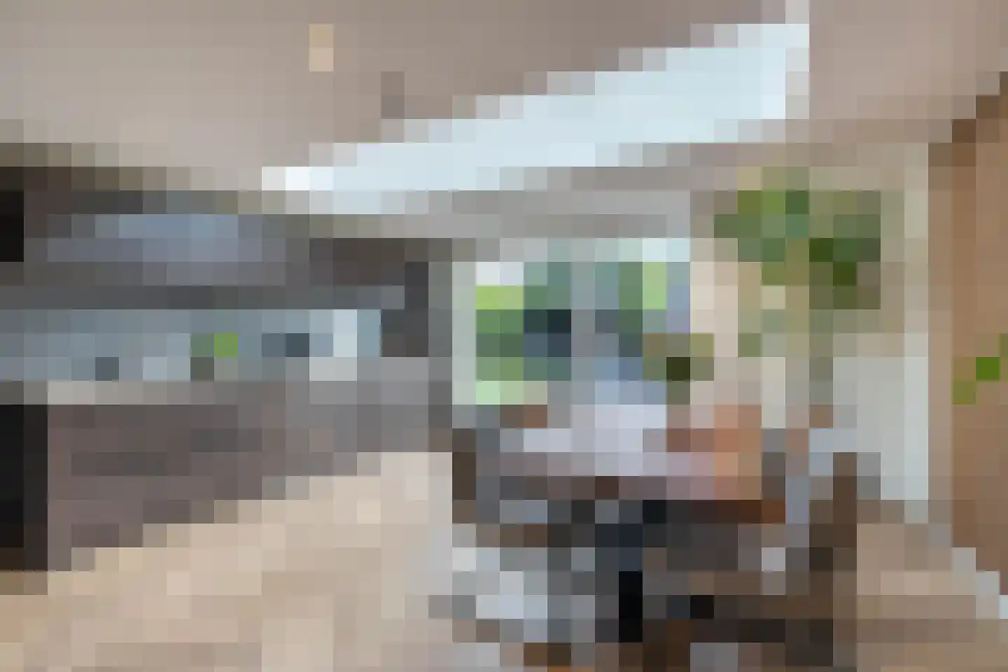 De Regenwulp 19 Almelo thumbnail 4