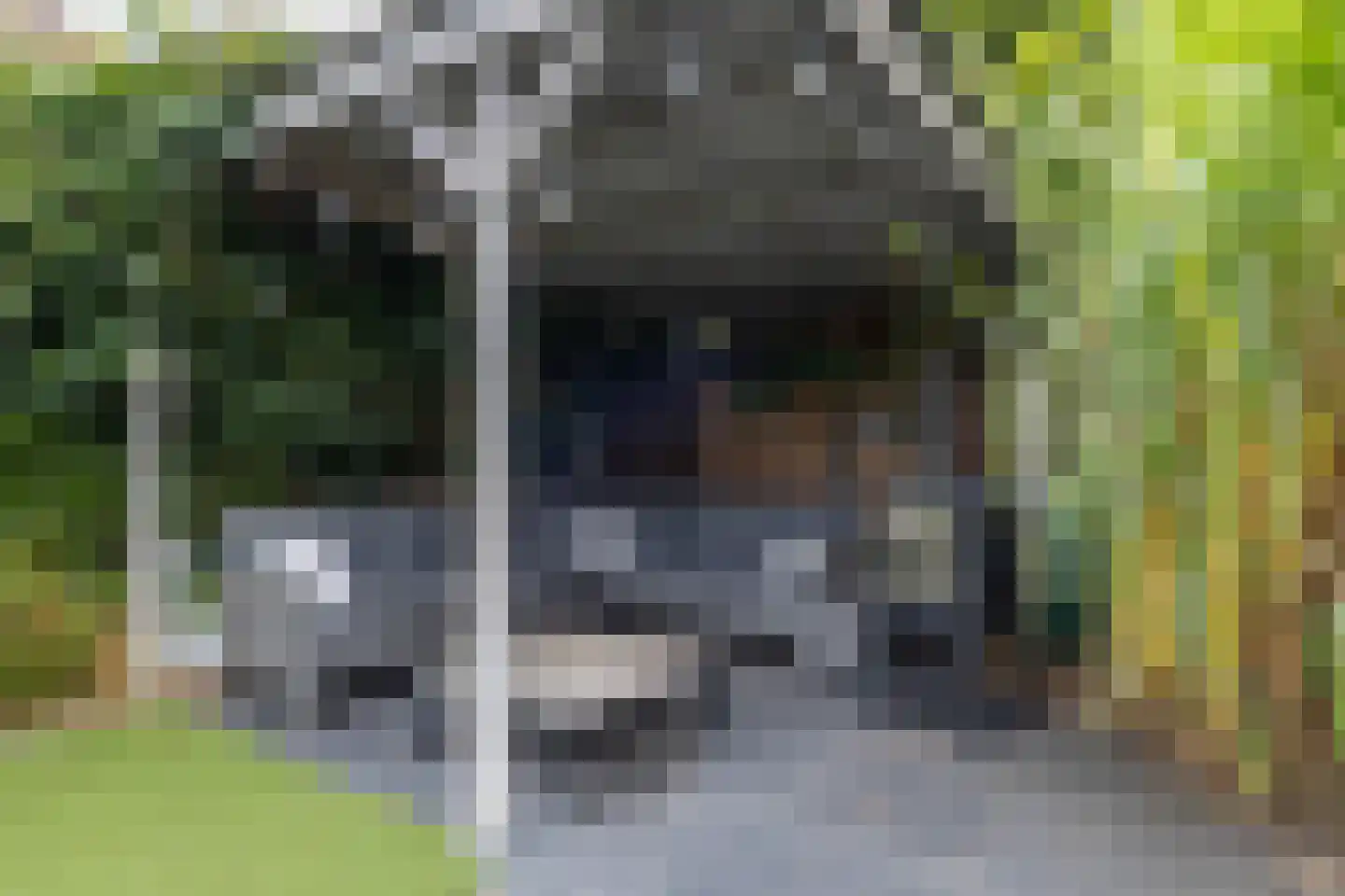 De Regenwulp 19 Almelo thumbnail 9