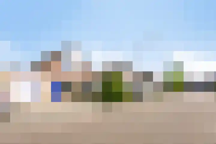 De Regenwulp 31 Almelo thumbnail 24