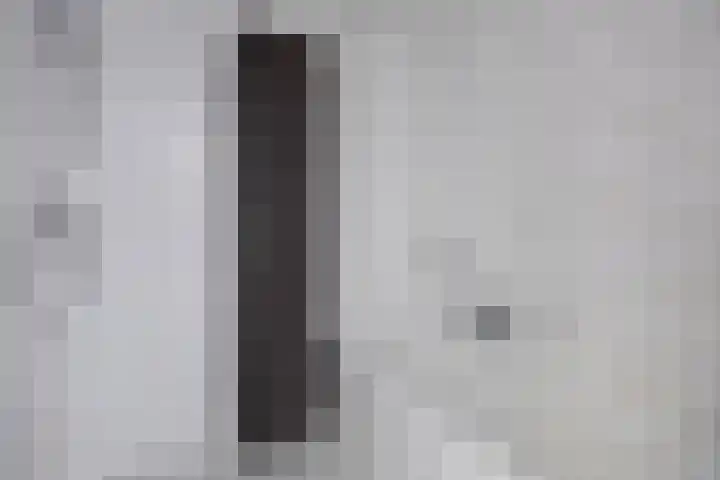 De Regenwulp 31 Almelo thumbnail 4