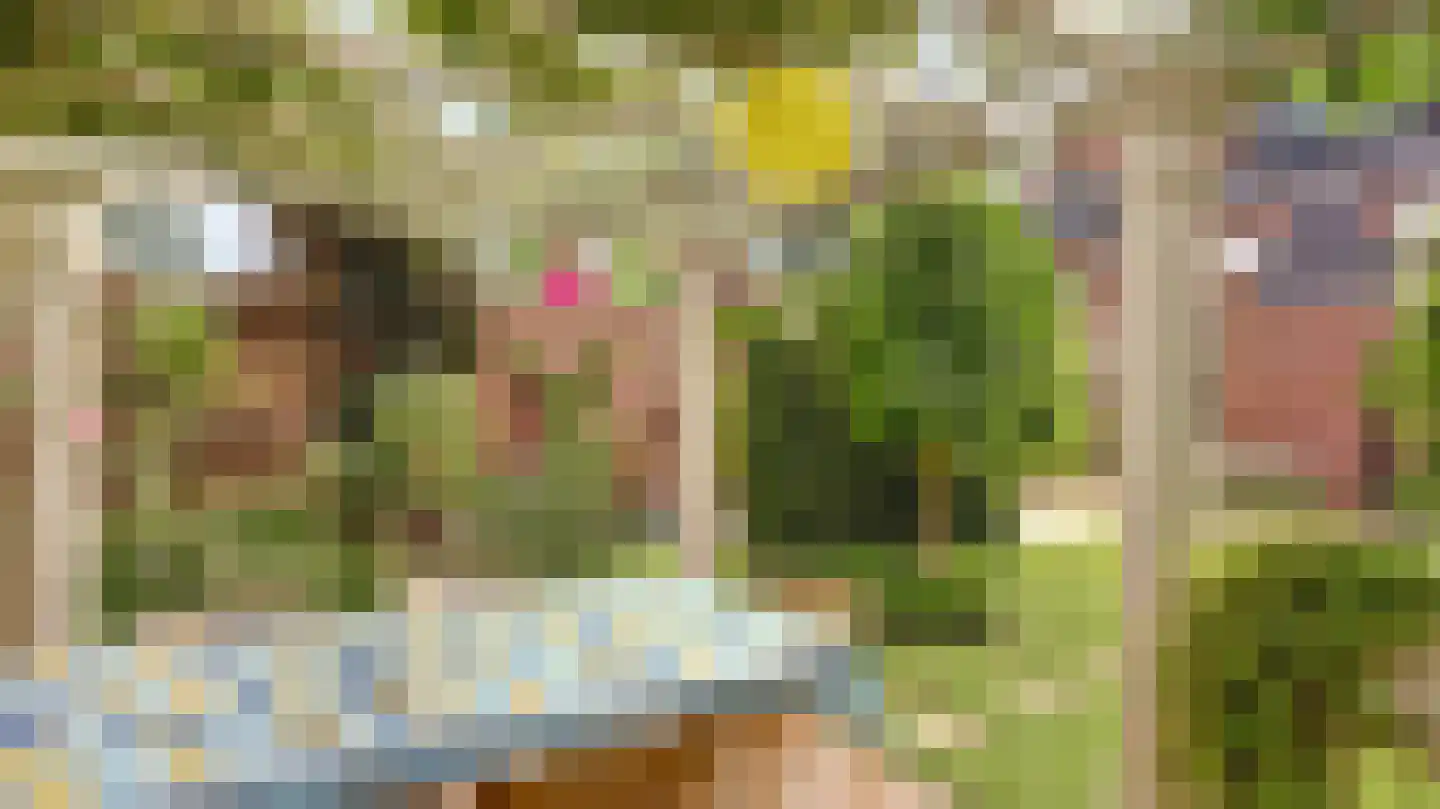 De Regenwulp 8 Almelo thumbnail 34