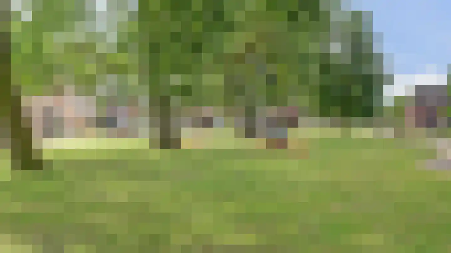 De Regenwulp 8 Almelo thumbnail 4