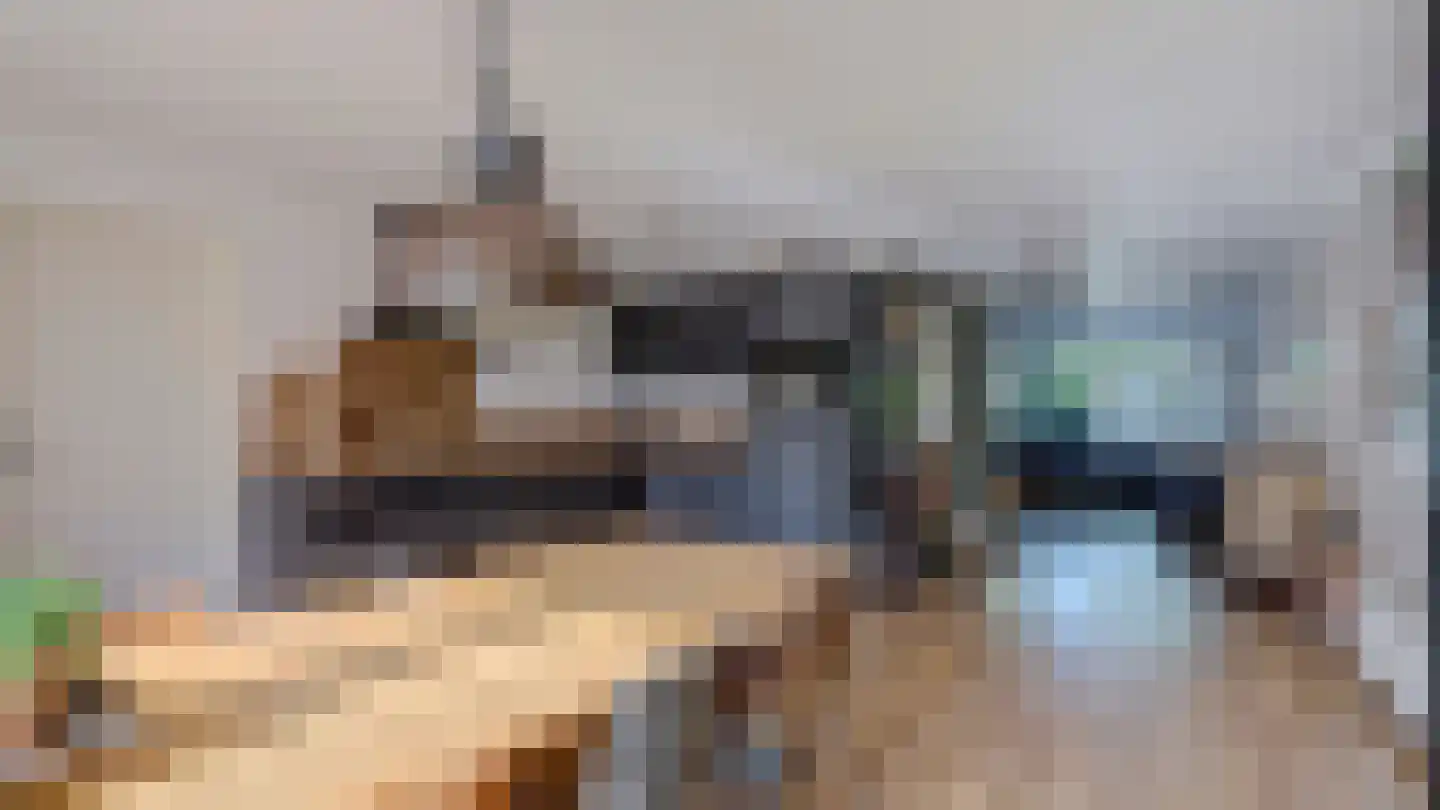 De Regenwulp 9 Almelo thumbnail 12