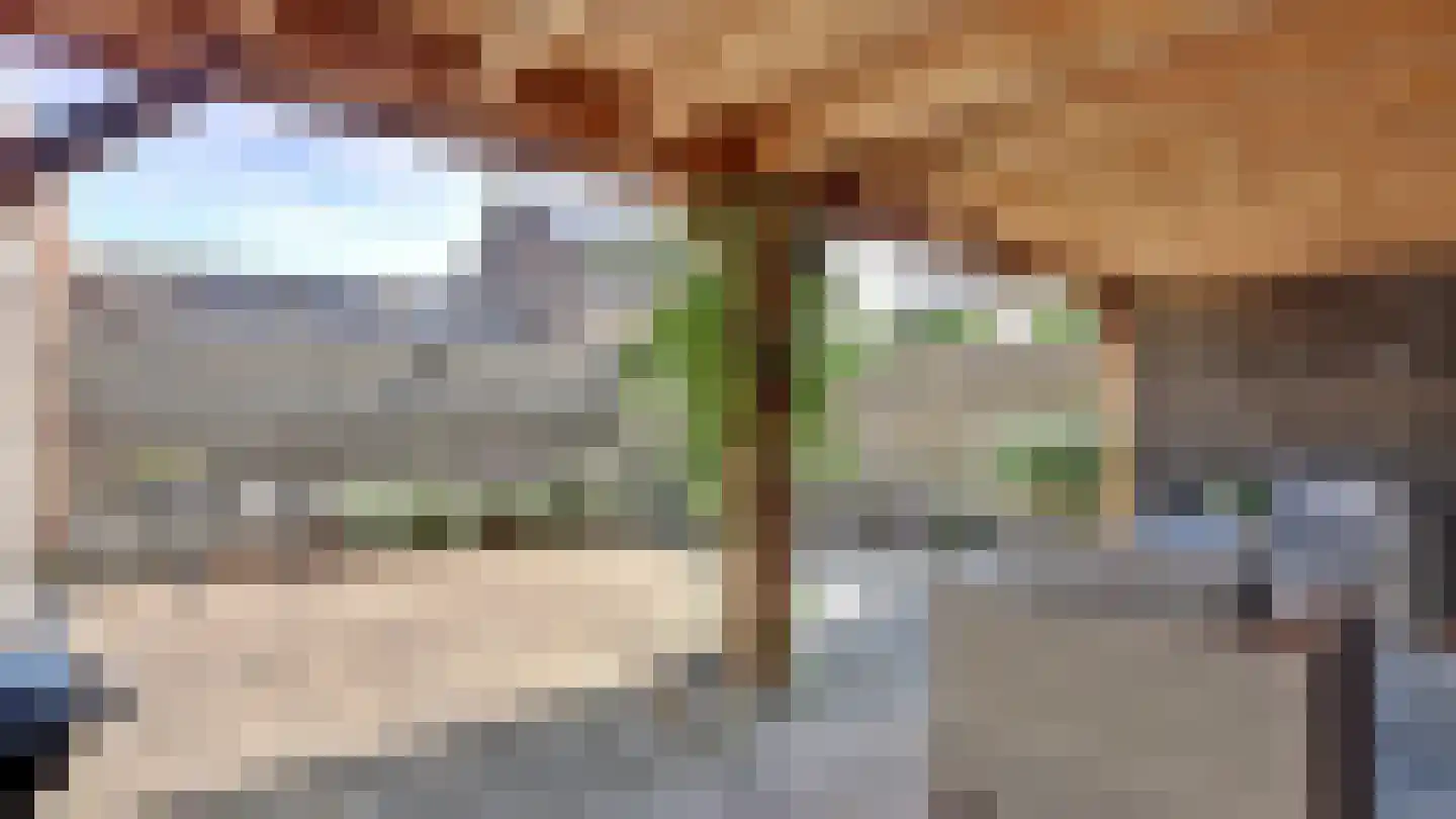 De Regenwulp 9 Almelo thumbnail 28