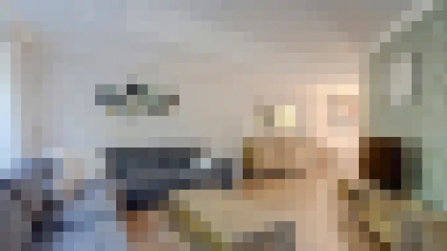 De Regenwulp 9 Almelo thumbnail 8