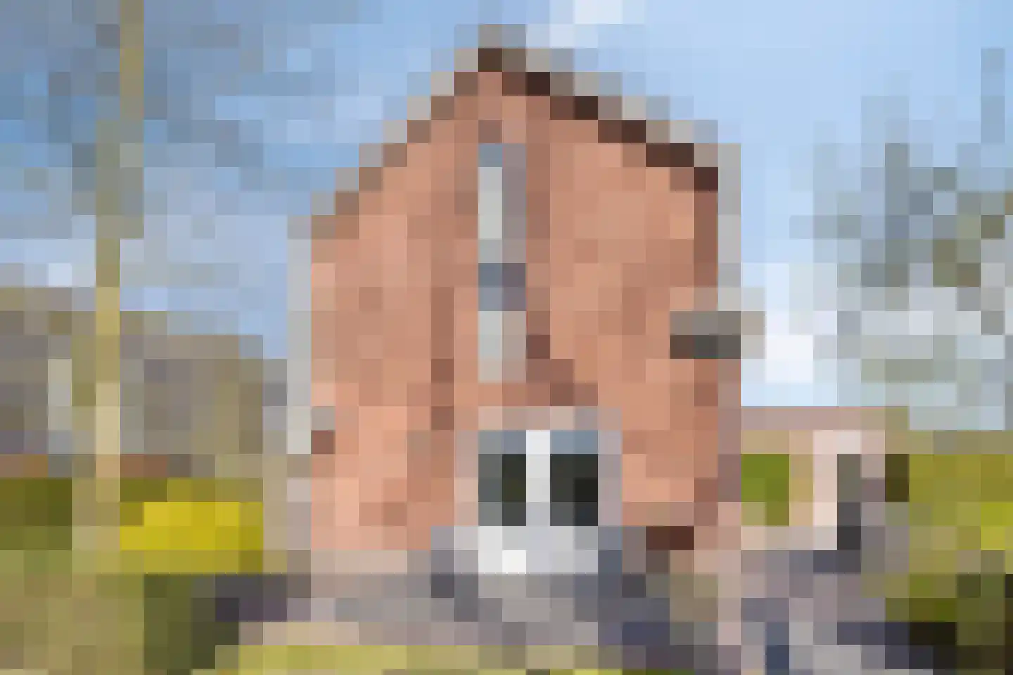 de Regge 11 Delden thumbnail 37