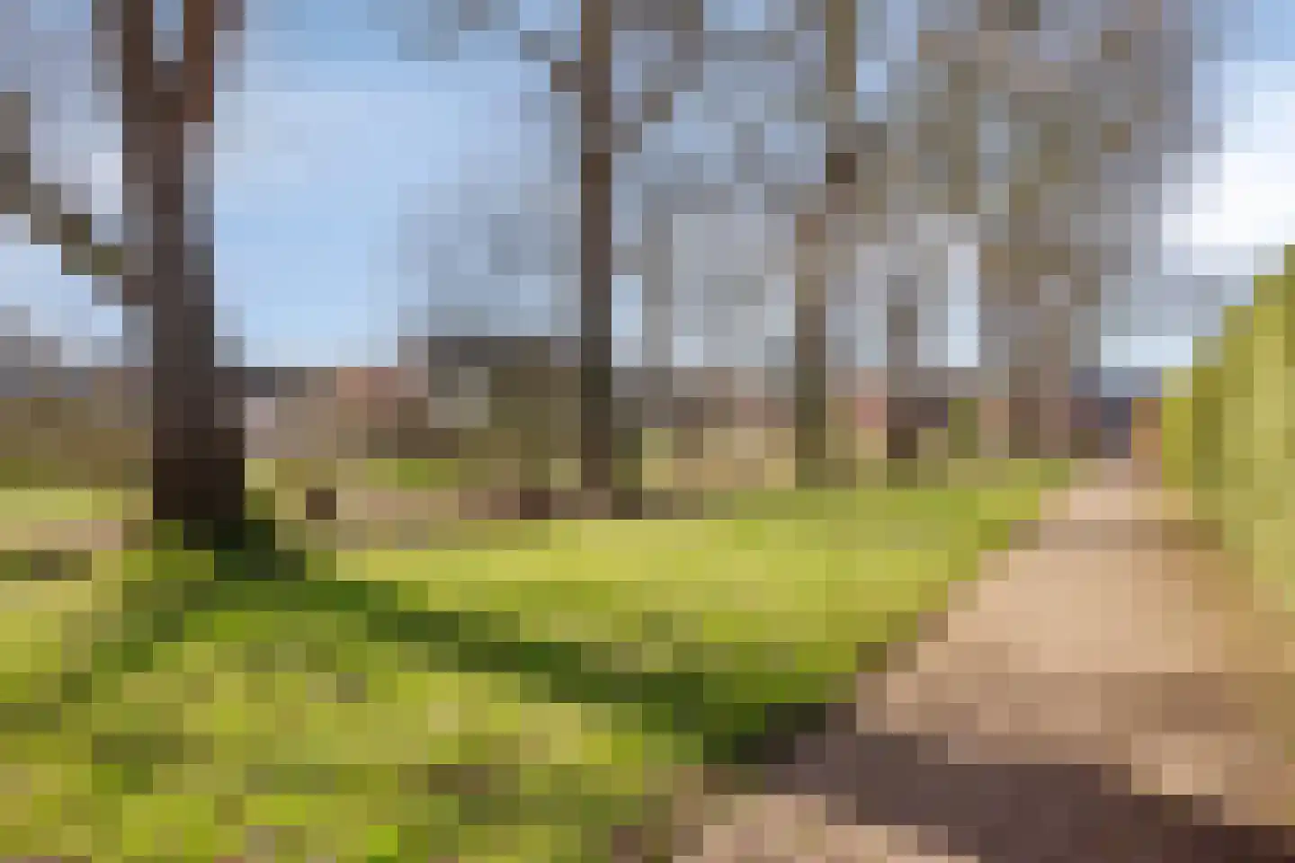 de Regge 11 Delden thumbnail 43