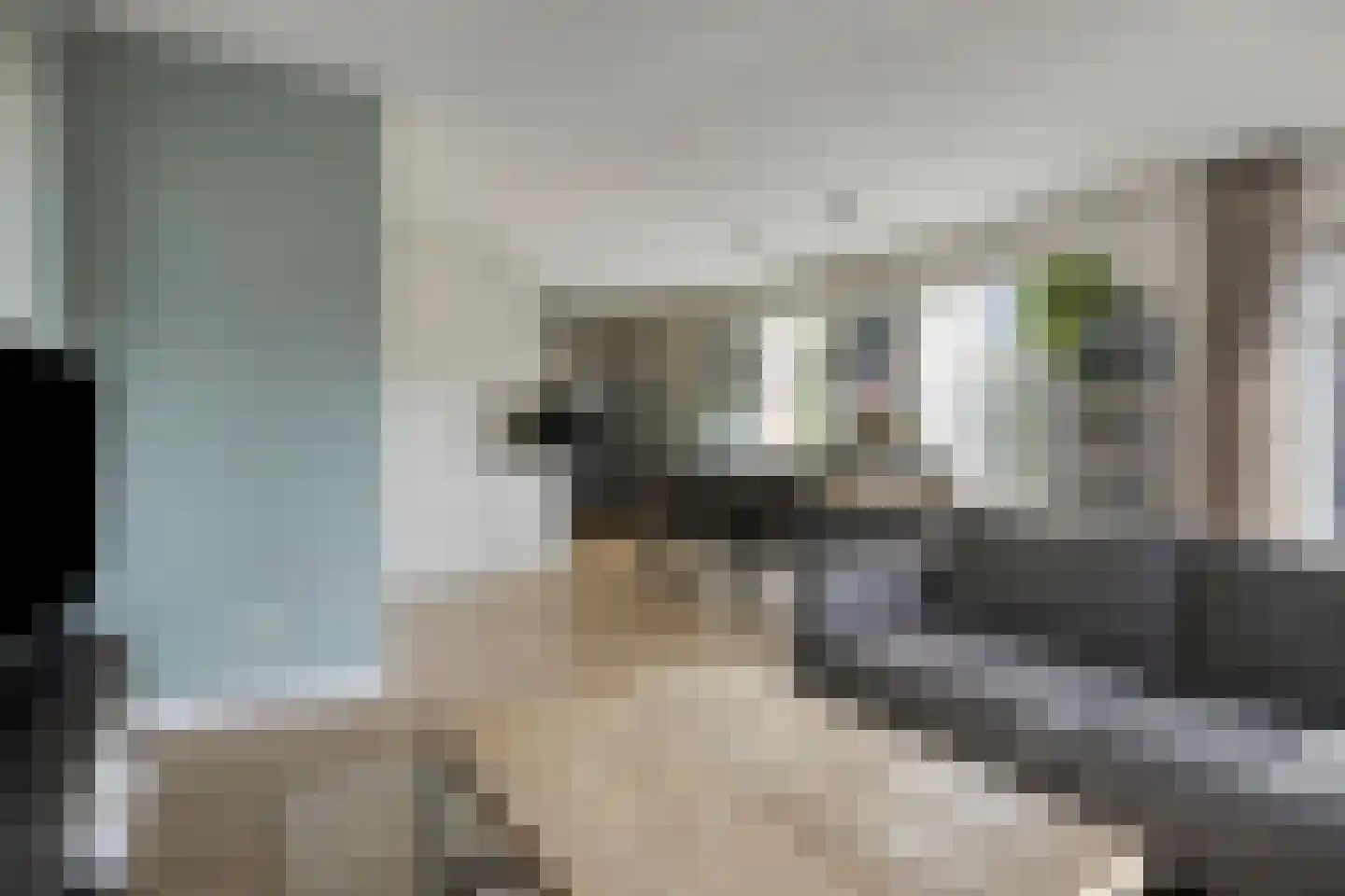 de Regge 11 Delden thumbnail 6