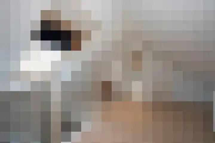 de Regge 13 Delden thumbnail 30
