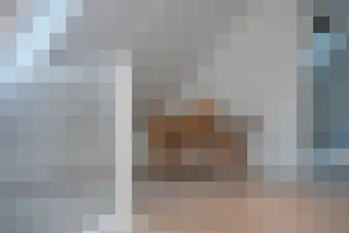 de Regge 13 Delden thumbnail 31