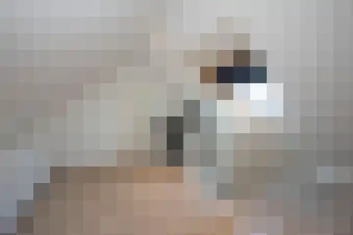 de Regge 13 Delden thumbnail 34