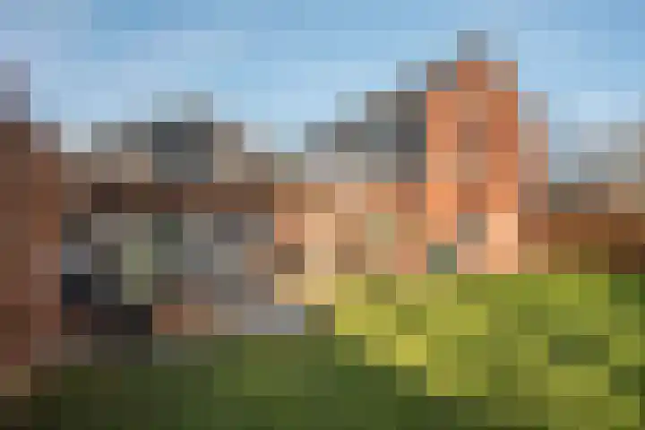 de Regge 13 Delden thumbnail 36