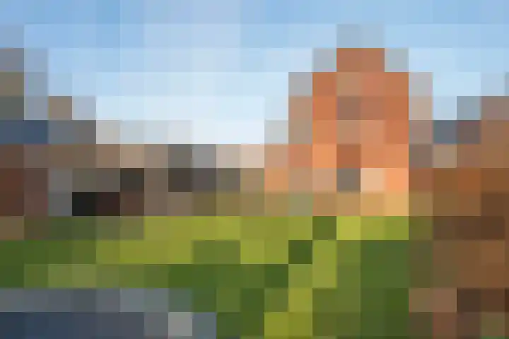 de Regge 13 Delden thumbnail 40