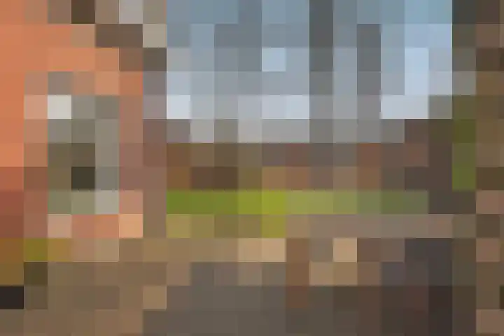 de Regge 13 Delden thumbnail 41