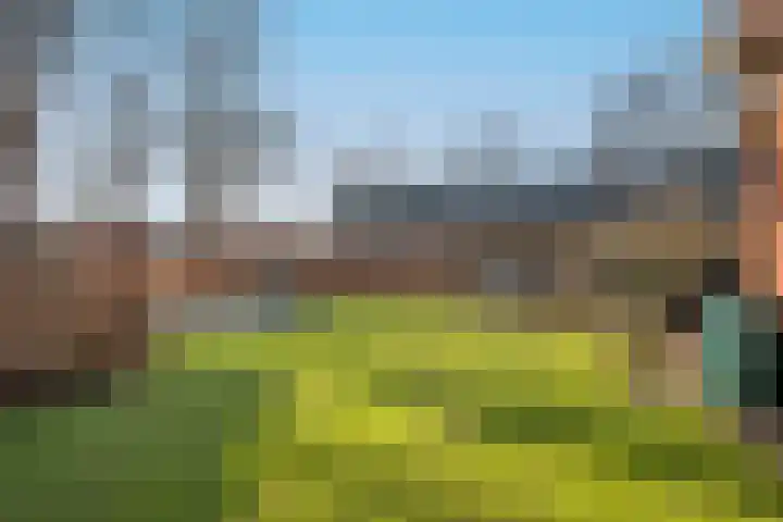 de Regge 13 Delden thumbnail 45