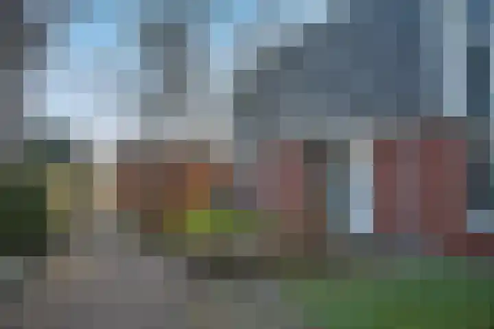 de Regge 13 Delden thumbnail 49