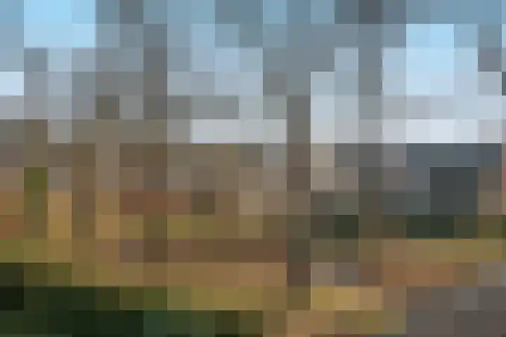 de Regge 13 Delden thumbnail 52