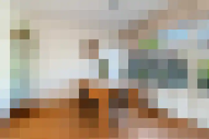 de Regge 25 Woerden thumbnail 11