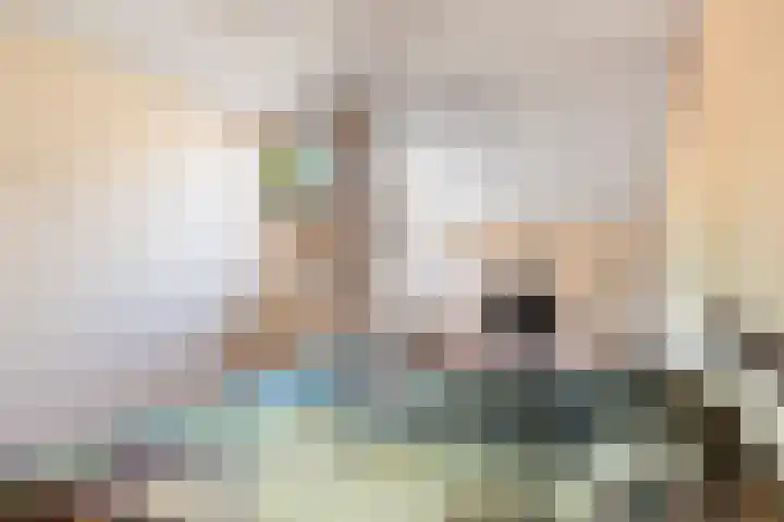 de Regge 25 Woerden thumbnail 15