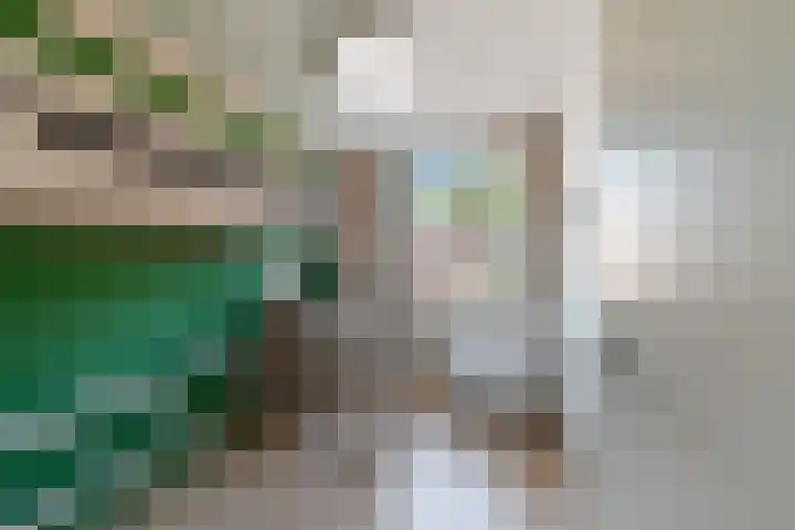 de Regge 25 Woerden thumbnail 16